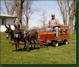 J&E Bartley & Vitello - Lot #35