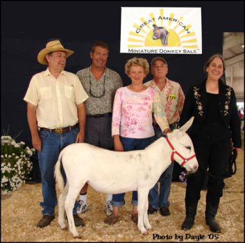 Second Highest Seller!