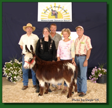 Record Breaking High Seller!