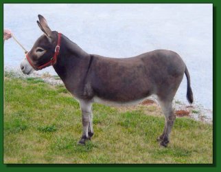 Lot #57 ~ LER Crystal's Gem