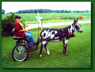 Lot 13 ~ Heavenly Snickers