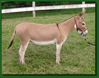 Lot #28 ~ MGF Think Pink